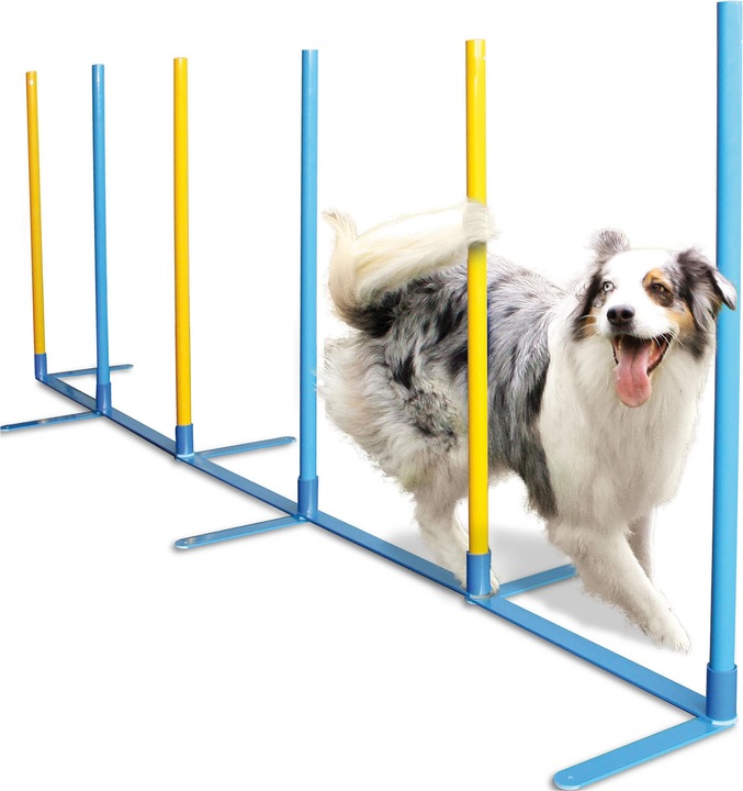 Produktbild Swisspet Indoor Agility Slalom-Set L (Agility)