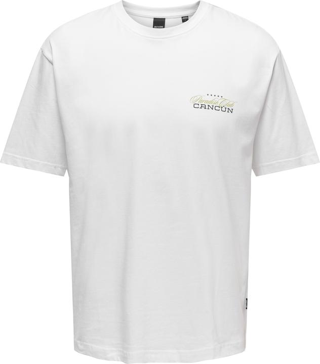 Image du produit Only & Sons Onskeane Rlx Ss Print Tee Noos (XL)