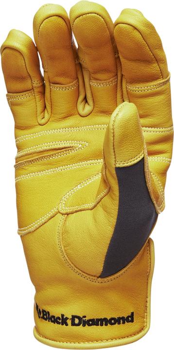 Produktbild Black Diamond Transition Handschuh (S)