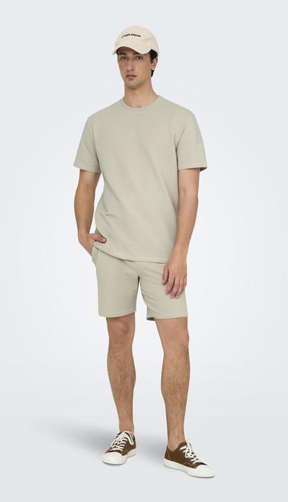 Actual product image Only & Sons Onskian Reg Seersucker Shorts (XS)
