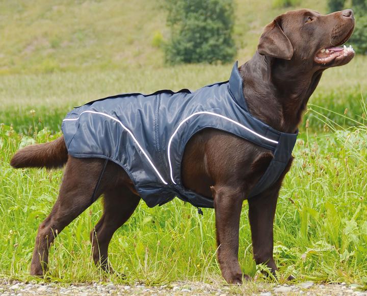Produktbild Swisspet Climaro Winterjacke (60, Hundeweste)