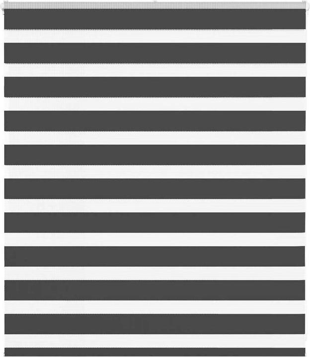 Produktbild vidaXL Zebra-Jalousie (135 x 100 cm)