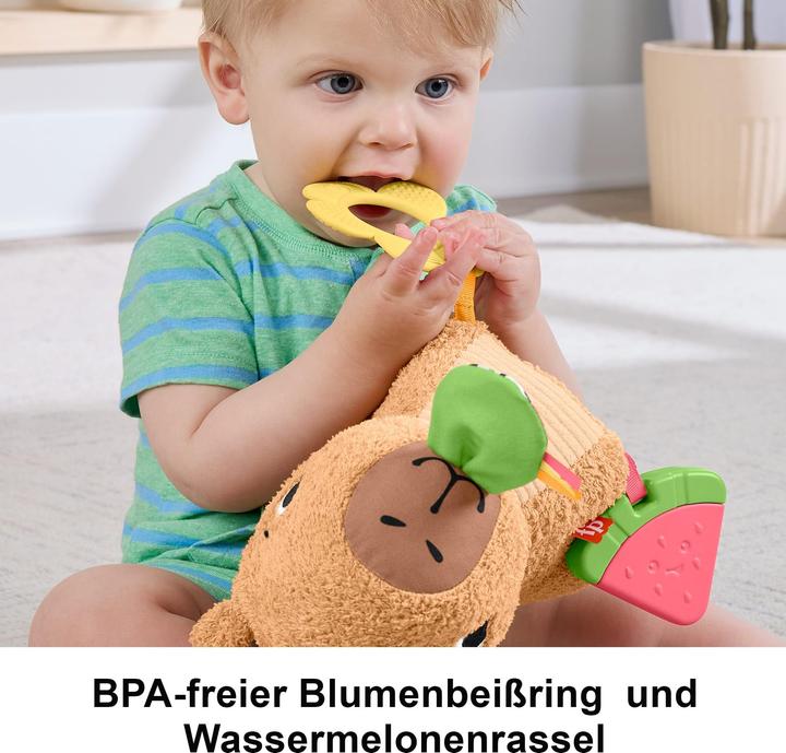 Productafbeelding Fisher-Price Kuschel-Capybara (23.50 cm)