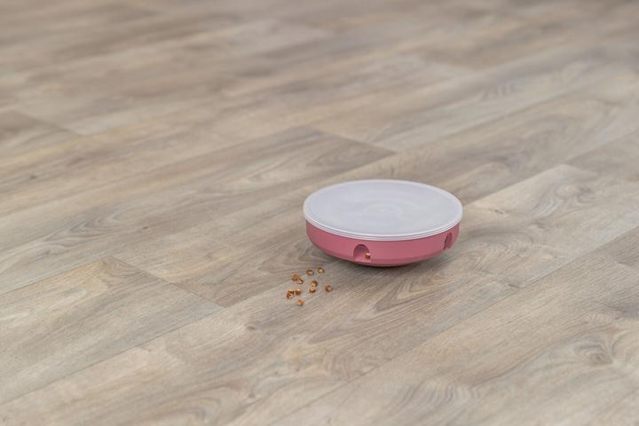 Actual product image Trixie Cat Activity Rocking Maze (Intelligence toy cat)
