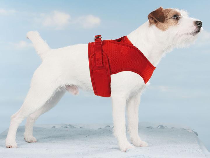 Swisspet Hundegeschirr Mesh (XS, Hund)