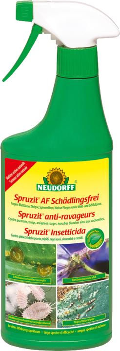 Produktbild Neudorff Spruzit AF Schädlingsfrei (Spinnmilben, Weissen Fliegen, Thripse, Schildläuse, Blattläuse, Wollläuse)