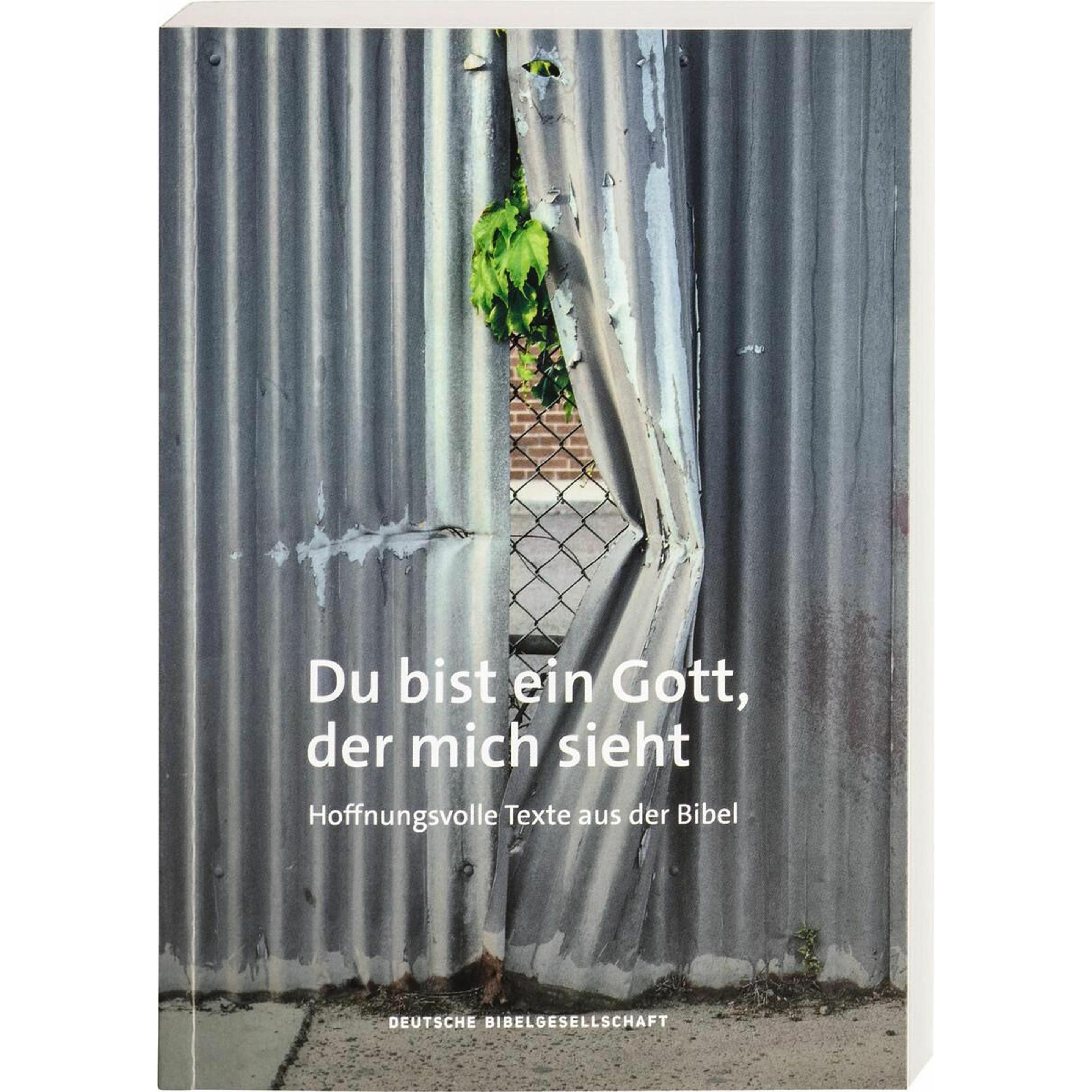 Du bist ein Gott, der mich sieht, Fachbücher