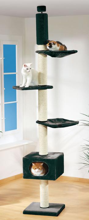 Image du produit Swisspet Ascona (240 cm, Blanc, Noir)