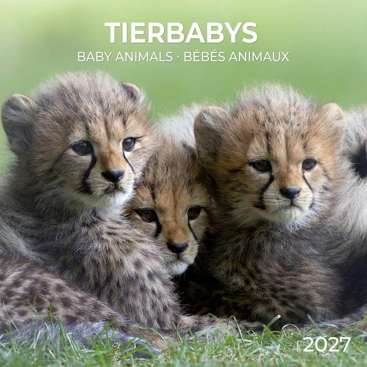 Produktbild Tierbabys / Baby Animals 2027