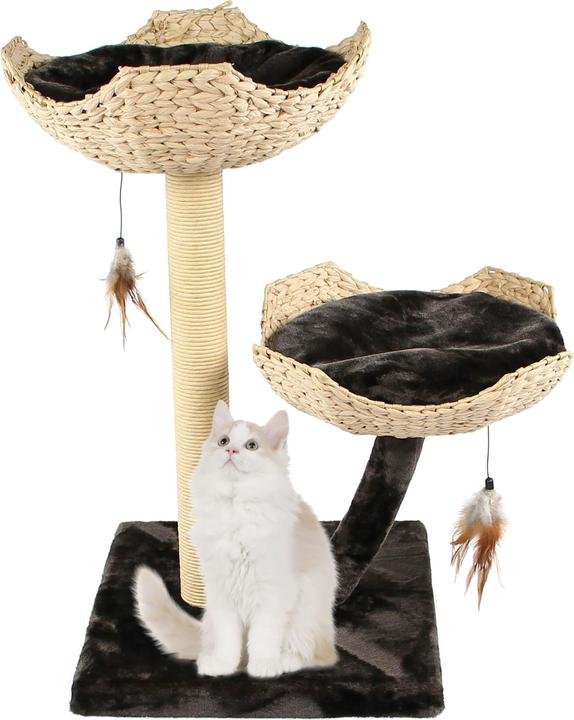 Swisspet Treelife Sorio buy at Galaxus