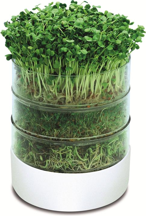 Image du produit Samen Mauser Bioset de germination (Graines de légumes)