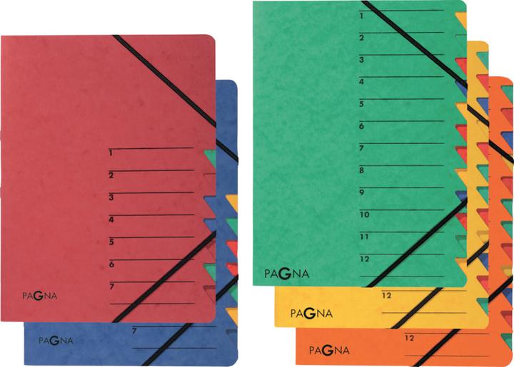 Actual product image Pagna EASY file (A4, 1 x)