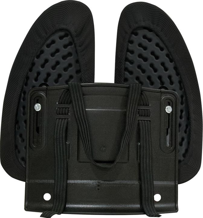 Immagine prodotto Fellowes Supporto per la schiena Back Angel (14,5 x 39,5 x 44 cm)