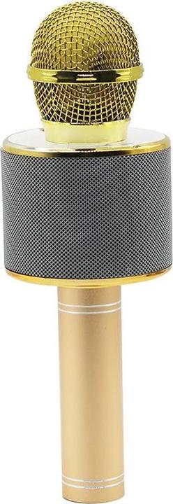 Actual product image Manta MIC10-G gold