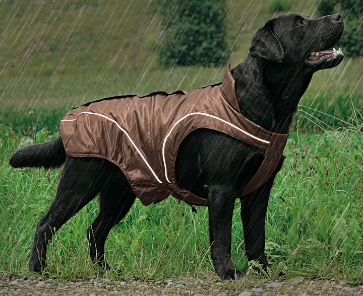 Image du produit Swisspet Veste d'hiver Climaro (XS, Gilet pour chien)