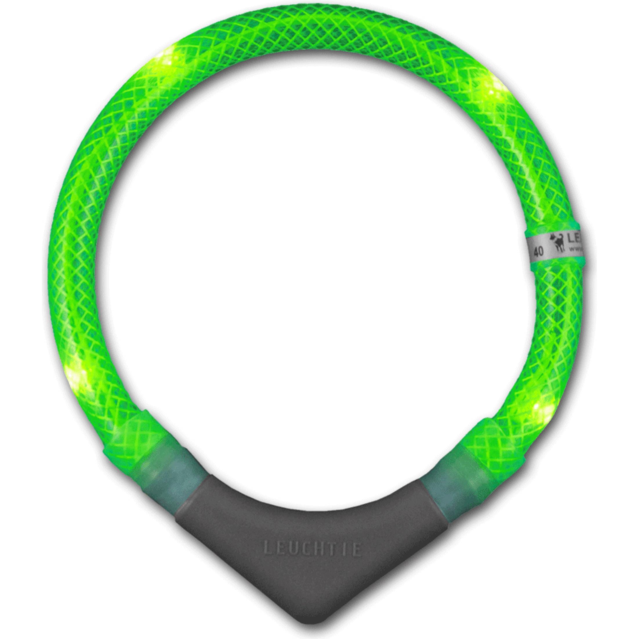 Leuchtie Plus (Hund, Allgemein), Halsband + Leine