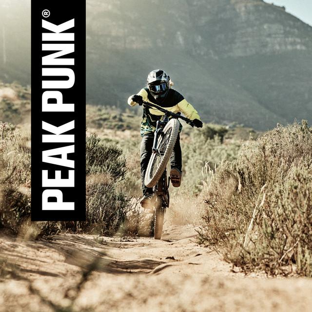 Actual product image Peak Punk Organic Oat Flapjack (Salted Peanut, 12 pcs., 720 g)