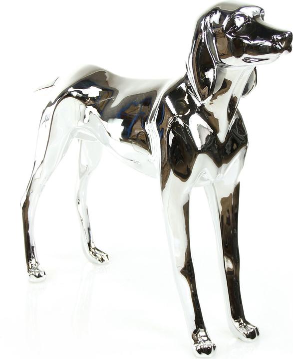 Image du produit Modèle canin Henry, Vizsla
