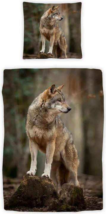 Traumschlaf Wolf
