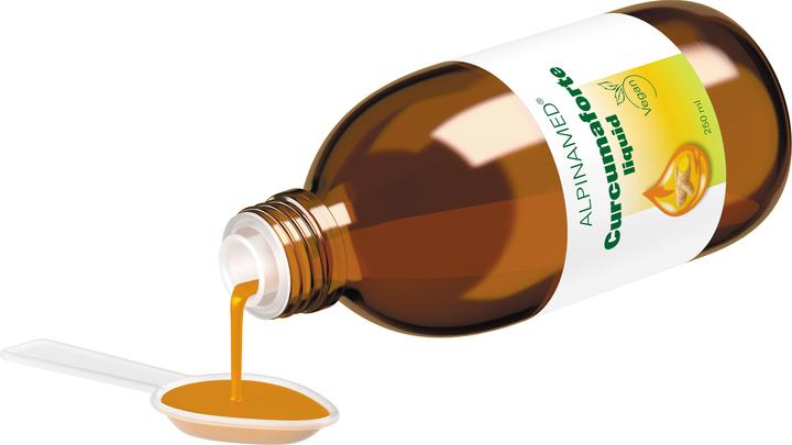 Produktbild Alpinamed Curcumaforte Liquid (1 Stück, Flüssigkeit, 520 g)