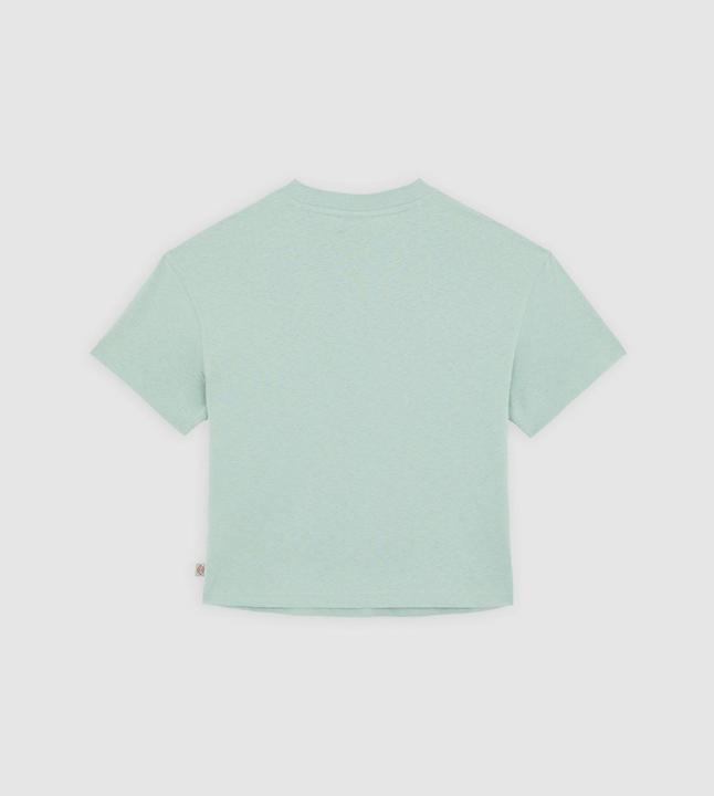 Actual product image Dickies Oakport Boxy Ss Tee Iceberg Green (M)