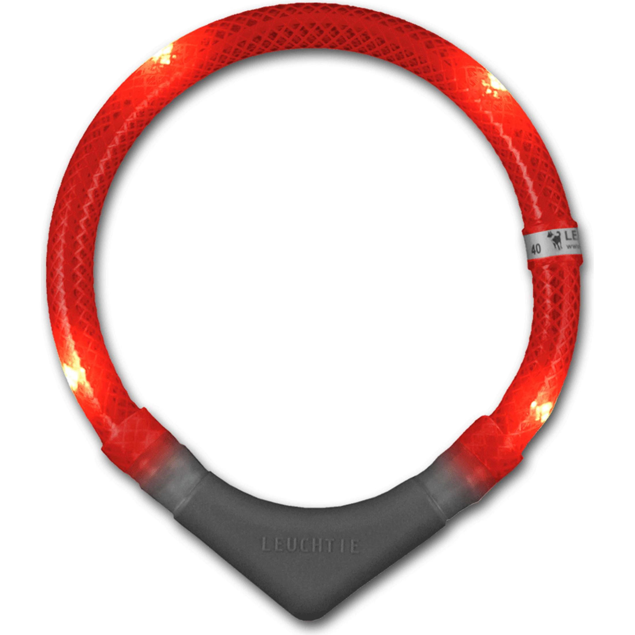 Leuchtie Leuchthalsband Plus (50, Hund, Spazieren, Arbeit), Halsband + Leine