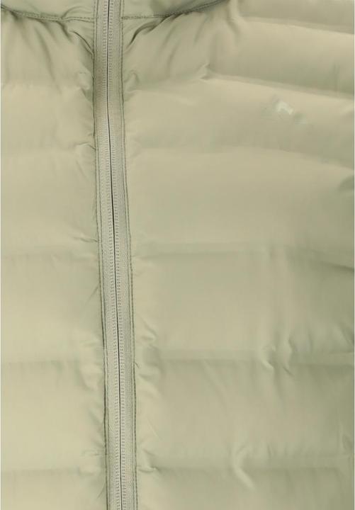 Actual product image Whistler Froze (40)