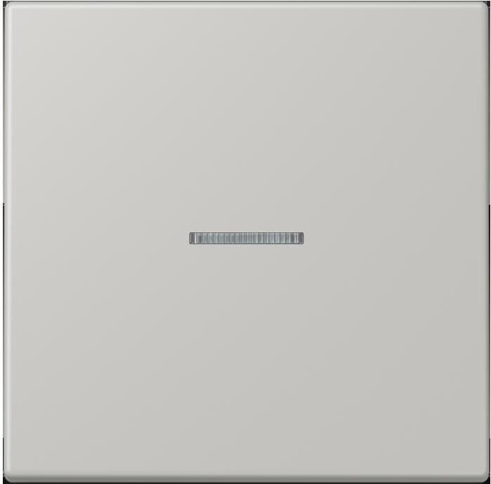 Actual product image JUNG Rocker