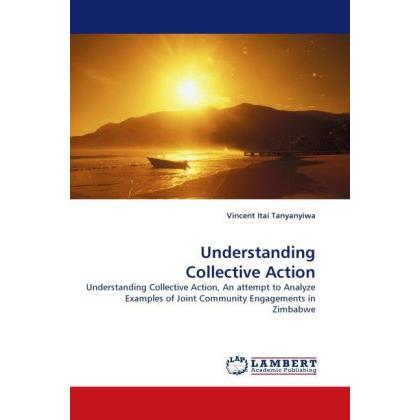 Understanding Collective Action, Fachbücher von Vincent Itai Tanyanyiwa