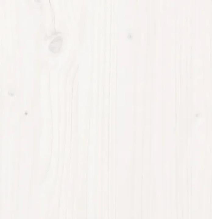 Image du produit vidaXL Sideboard (100 x 100 x 75 cm)