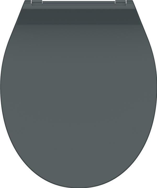 Actual product image Schütte Duroplast WC seat SLIM ANTHRAZIT Soft-close mechanism Quick-release fastener 82704 Anthracite