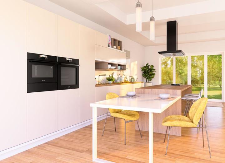 Actual product image Gorenje IS646BG