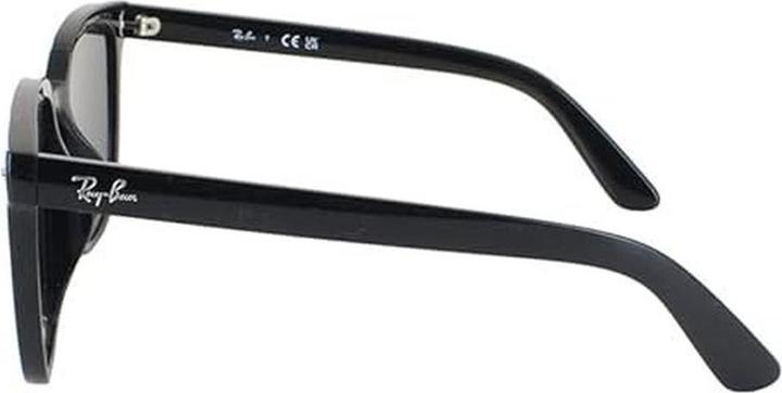 Produktbild Ray Ban RB4401D 601/87 55