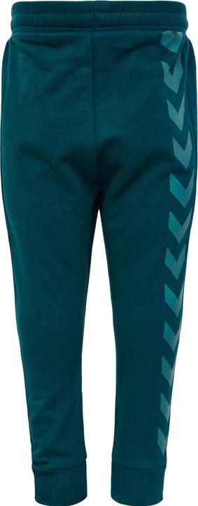 Actual product image hummel Fastwo Apple Pants (74)