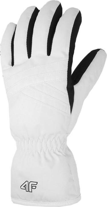 Image du produit 4F Skihandschuhe (XL)