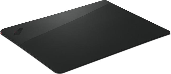 Actual product image Lenovo Professional (14", Lenovo)