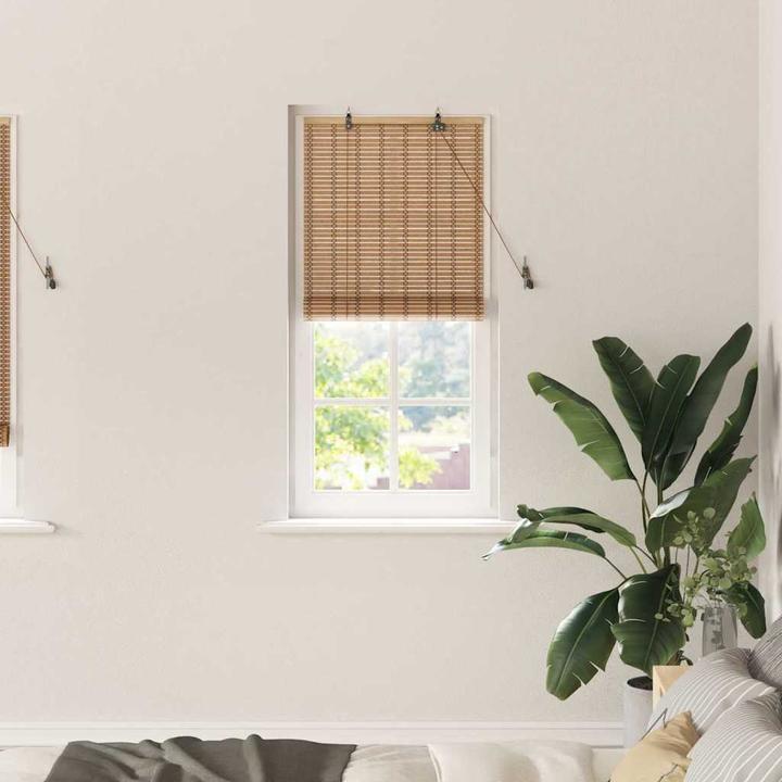 Immagine prodotto VidaXL Tende per finestre (60 x 220 cm)