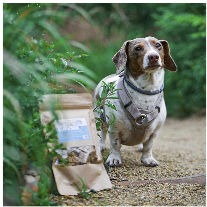 Immagine prodotto Sollis Mini cubetti di carne di coniglio 100g (Adulto, 100 g)