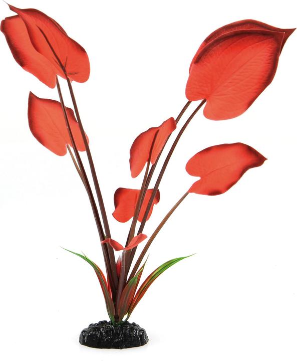 Amazonas Fantasy Plant S 30cm (Embellishment, Flora)