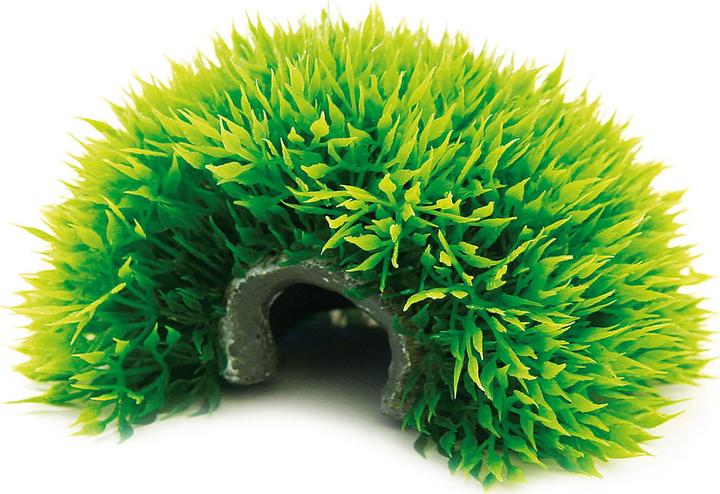 Actual product image Amazonas World Nano plant ball 6x12cm (Plants, Flora)