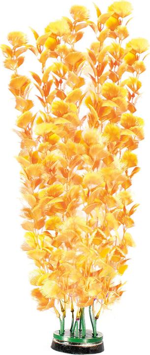 Produktbild Amazonas World Pflanze (Pflanzen, Pflanzen)