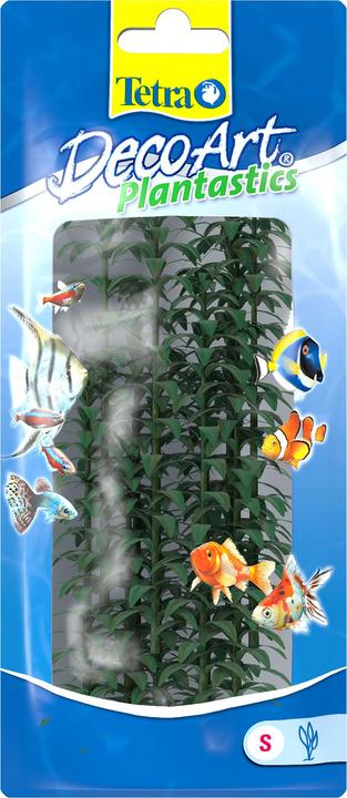 Tetra Plantastics Plus Hygrophilia (Pflanzen, Pflanzen)