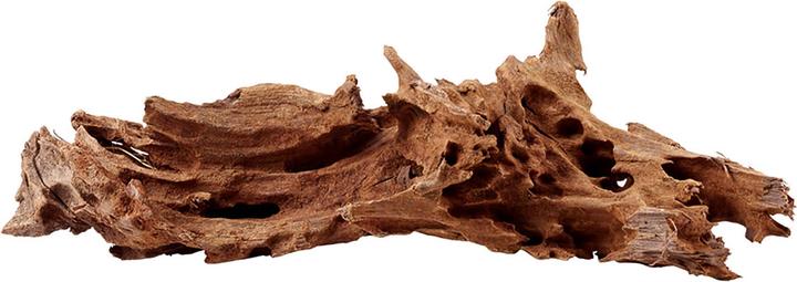 Amazonas Mangrovenholz (Sand, Baum)