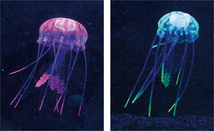 Amazonas World Méduse flottante décorative 2 pièces (Décoration, autres éléments)