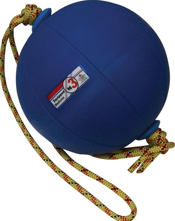 Produktbild Trial Schleuderball (3 kg, 240 mm)