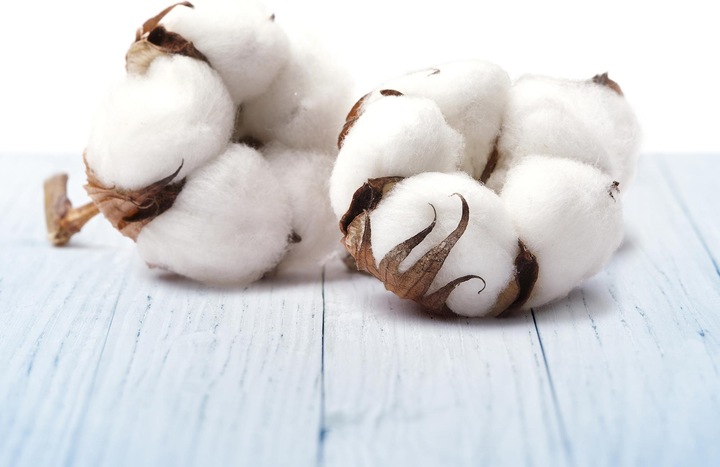 Image du produit Air Wick Du linge frais et pur