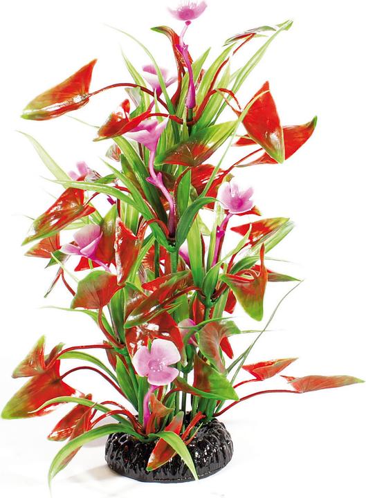 Amazonas World Plante artificielle vert rouge-violet 25cm (Plantes, Plantes)
