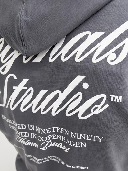 Immagine prodotto Jack & Jones Kapuzenpullover Kapuzenpullover (XXL)