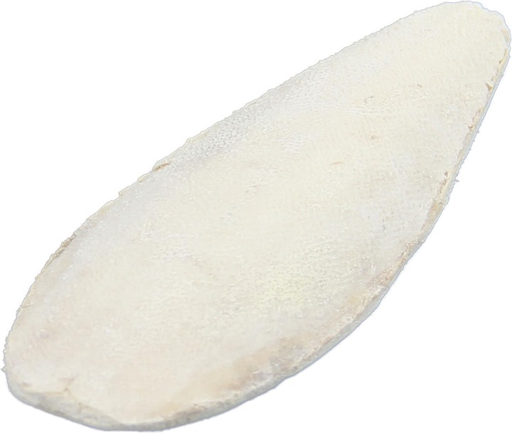 Produktbild Swisspet Sepiaschale mit Halter (1 x)