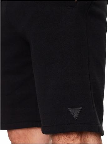 Actual product image Guess Aldwin men's shorts (L)